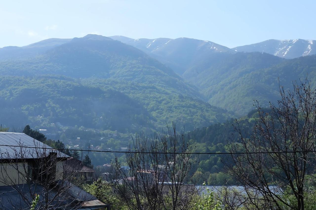 Dil Hill By Sam Bed and Breakfast Dilidzjan Buitenkant foto