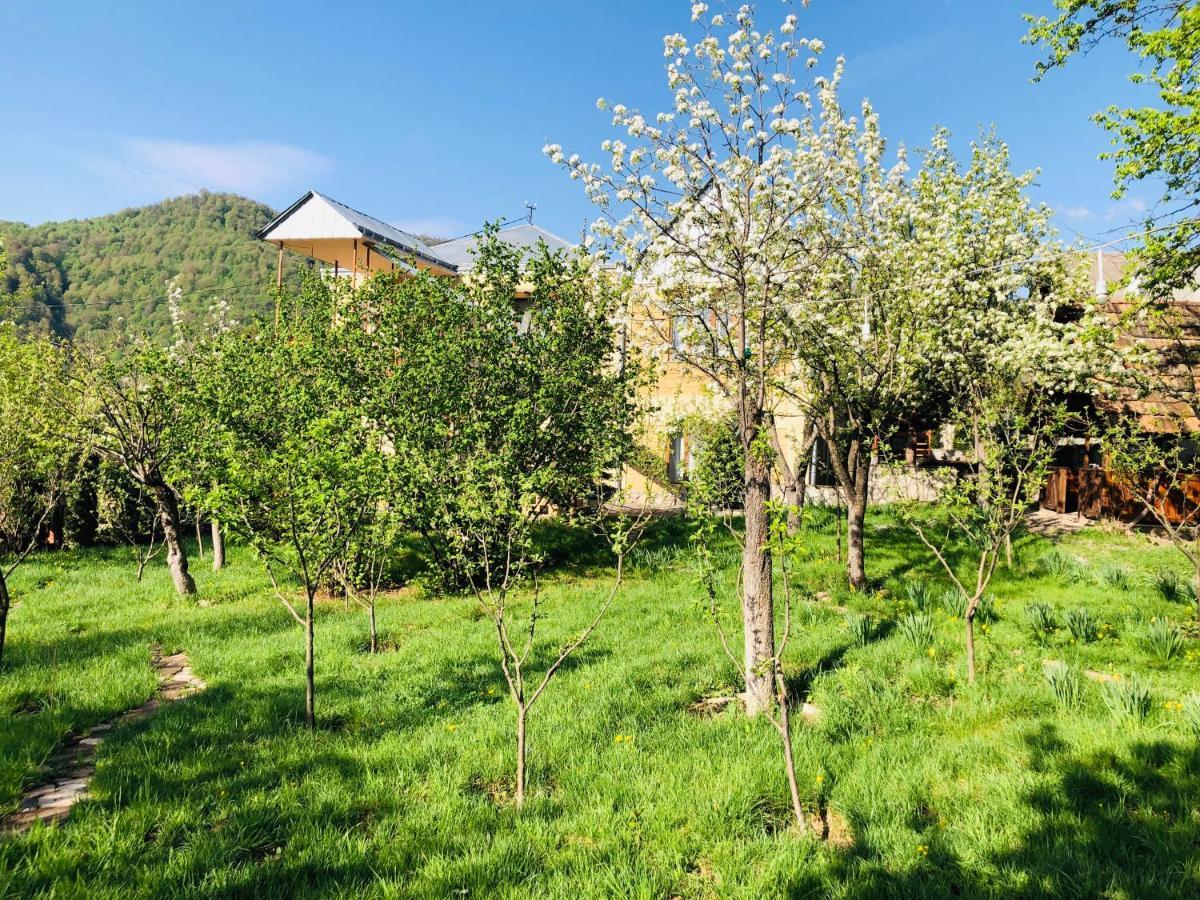 Dil Hill By Sam Bed and Breakfast Dilidzjan Buitenkant foto