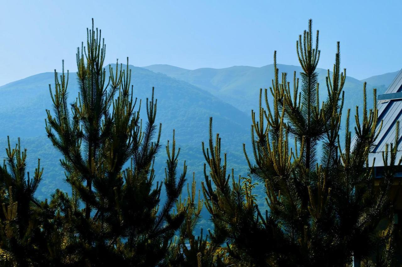 Dil Hill By Sam Bed and Breakfast Dilidzjan Buitenkant foto